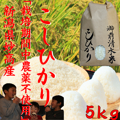 御前清水米コシヒカリ(栽培期間中農薬不使用・有機肥料100%使用）　令和4年 新米　「一等米」